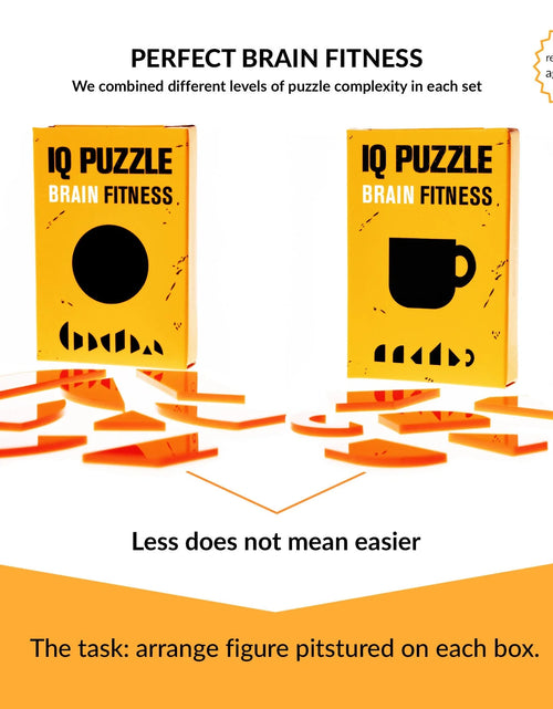 Load image into Gallery viewer, SET of 3  IQ Puzzle Brain Fitness Games Brain Teaser Puzzles for Adults and Kid Puzzle Mind Puzzles Brain Games
