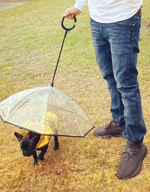 Load image into Gallery viewer, Dog Umbrella, Clear Pet Umbrella Flexible Handle Umbrella for Dog with Rope for Small Pets
